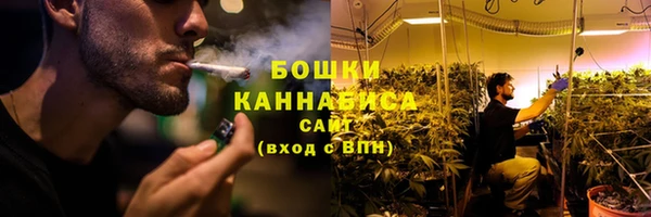 трава Корсаков