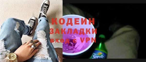 трава Корсаков