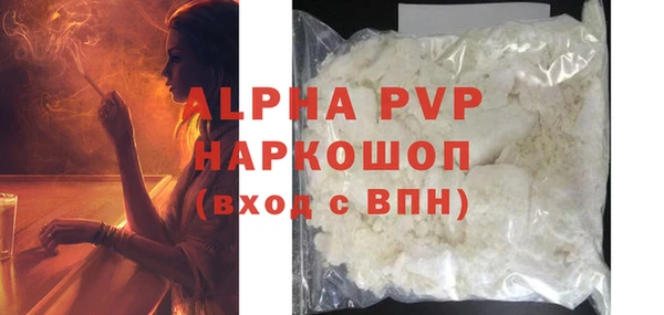 трава Корсаков