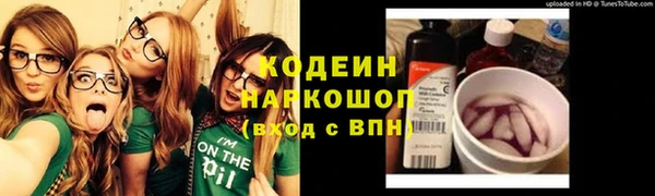 трава Корсаков
