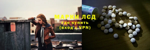 трава Корсаков