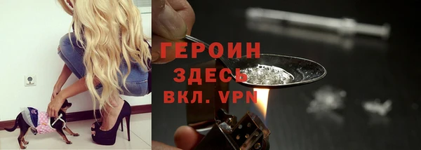 трава Корсаков