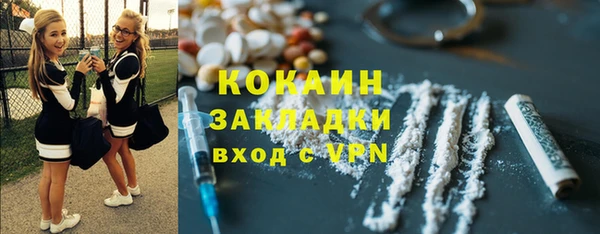 трава Корсаков