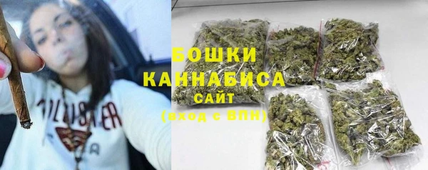 трава Корсаков