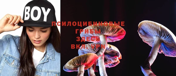 винт Коряжма