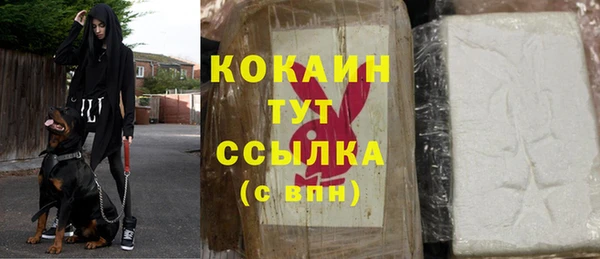 трава Корсаков