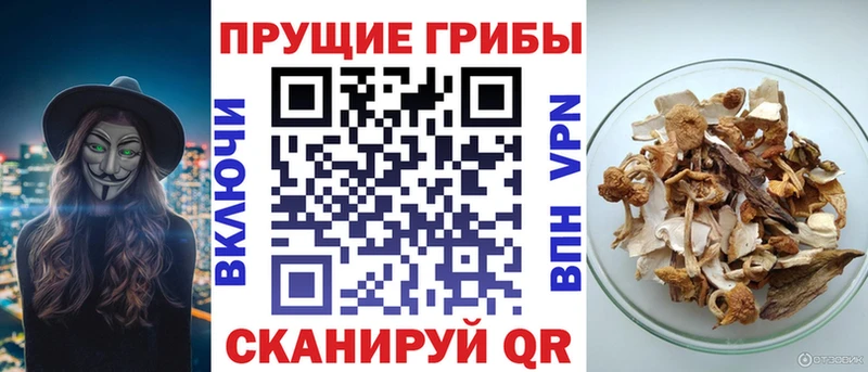 Купить где  Аркадак  Галлюциногенные грибы ЛСД 